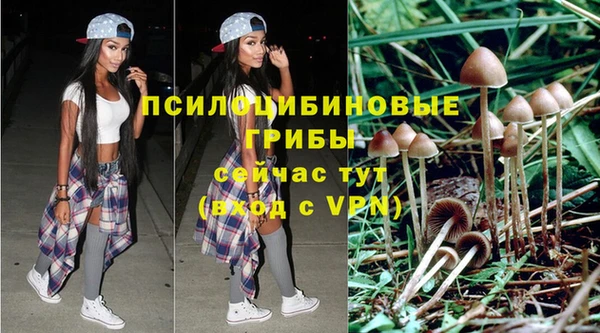 ALPHA PVP Армянск