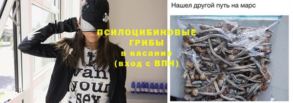 не бодяженный Аркадак
