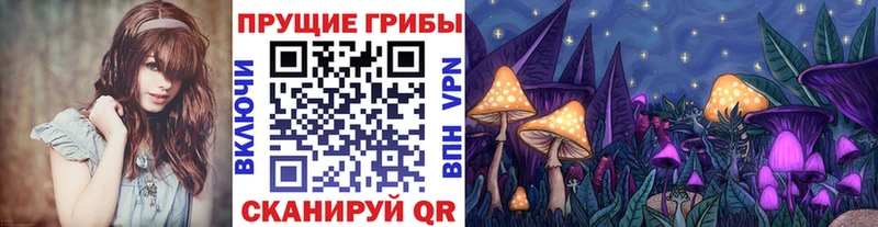 Псилоцибиновые грибы Psilocybe  Купить где  Староминская 